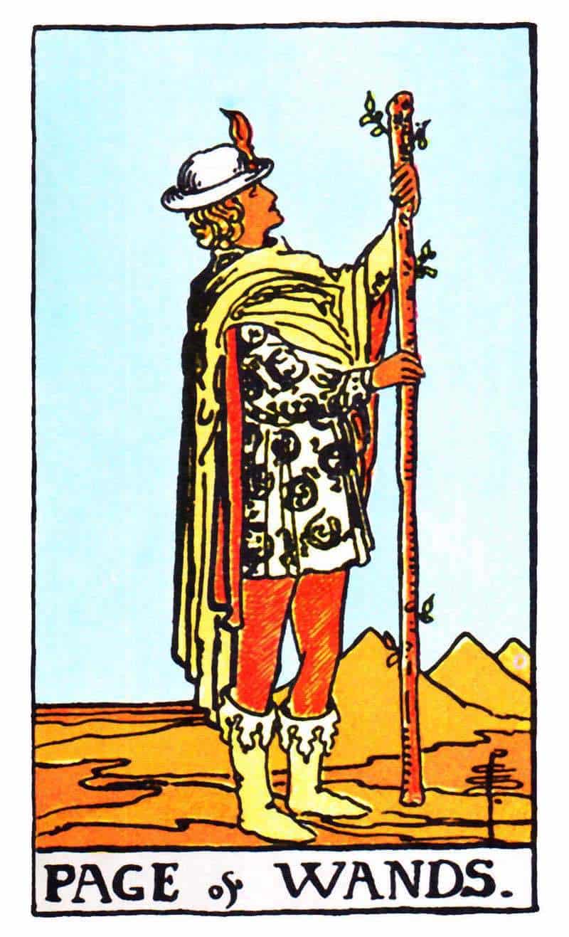 page of wands tarot card