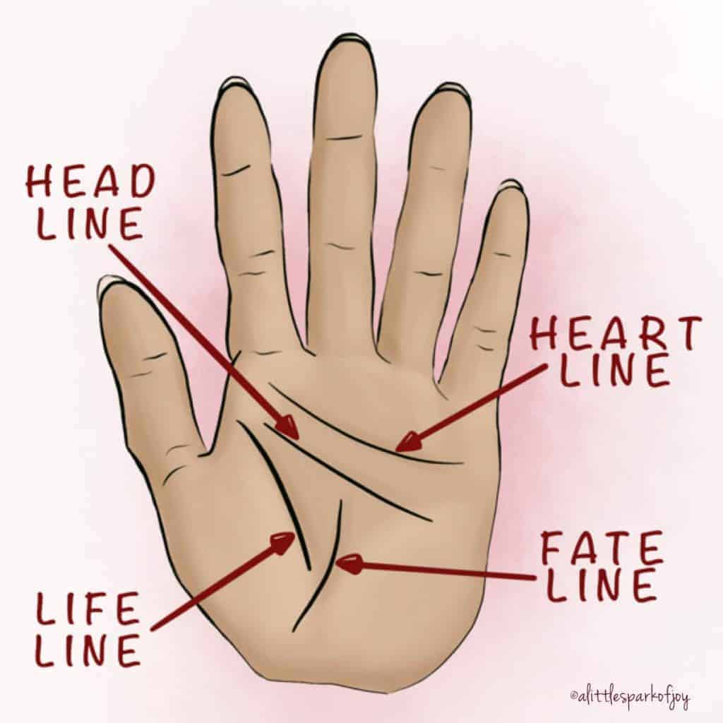 palm reading lines