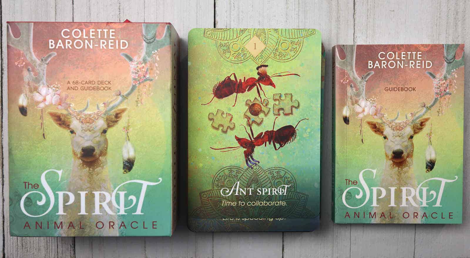 The Spirit Animal Oracle Review: Be Guided By This Captivating Deck