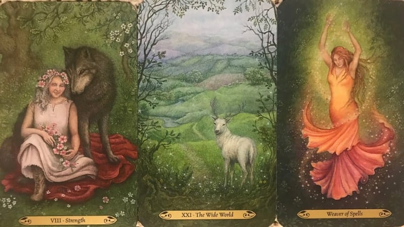the forest of echantment tarot cards example