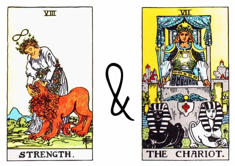 strenght the chariot card combination tarot