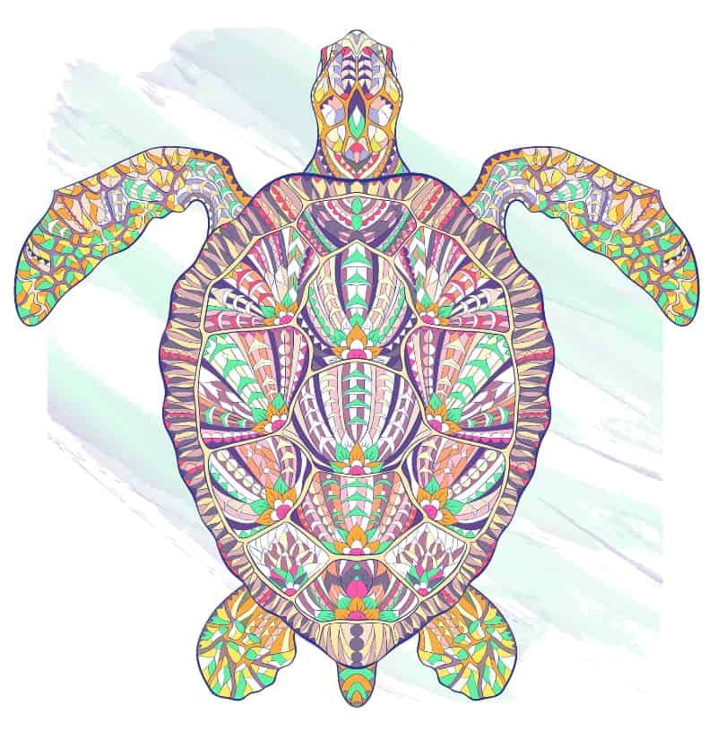 turtle spirit animal
