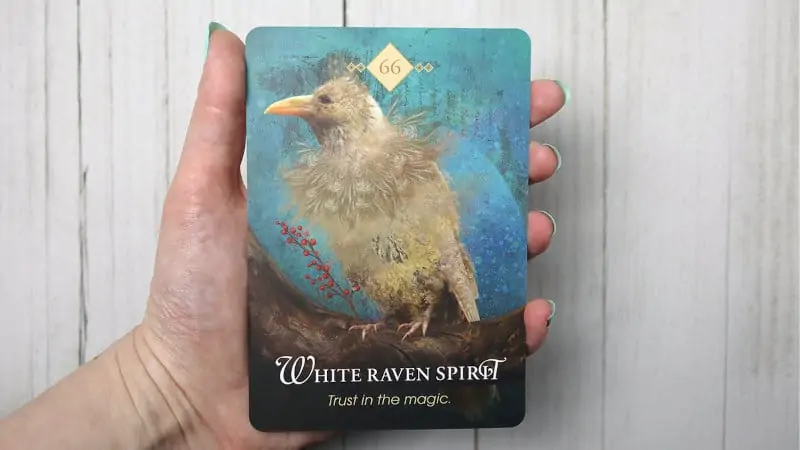 spirit anima oracle deck cards