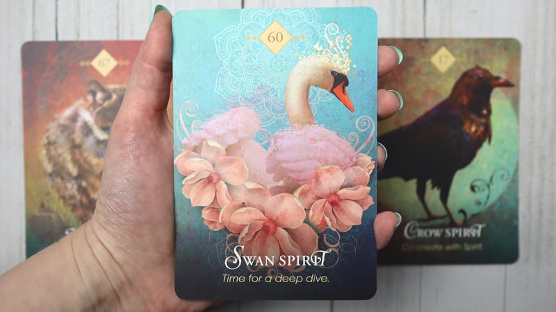 The Spirit Animal Oracle Review: Be Guided By This Captivating Deck