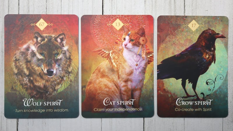 the spirit animal oracle deck review