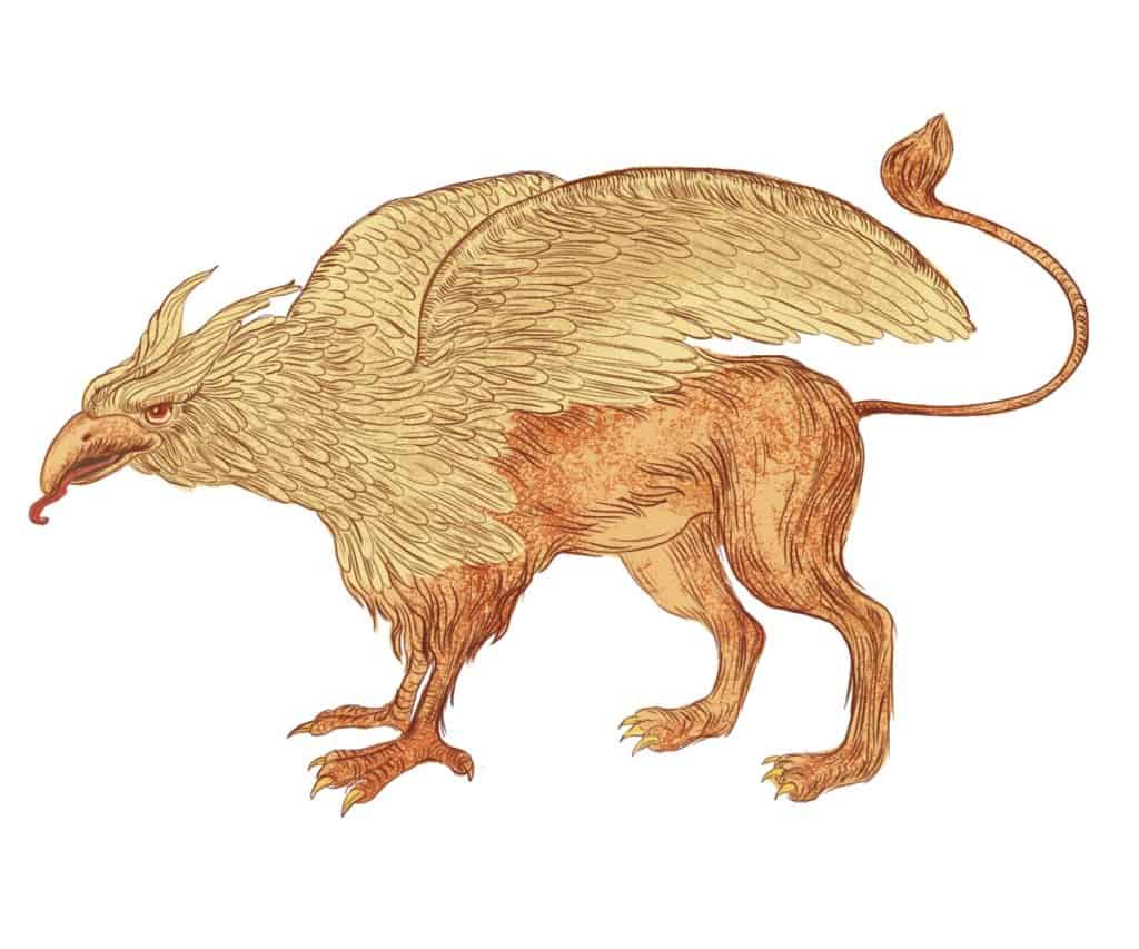 griffin mythology mythical creature