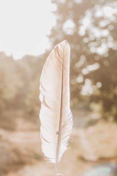 feather meaning guide