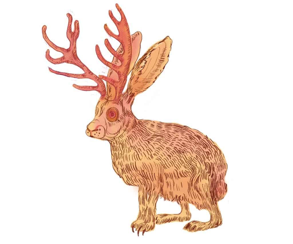 the jackalope creature mythical