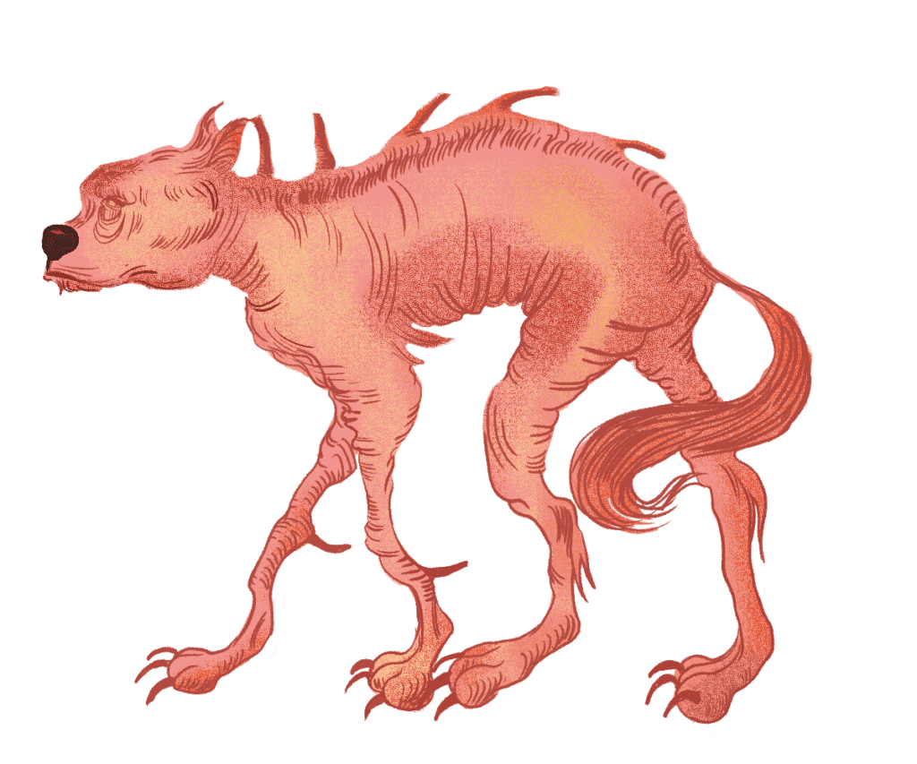 Mythological Creatures - Chupacabra